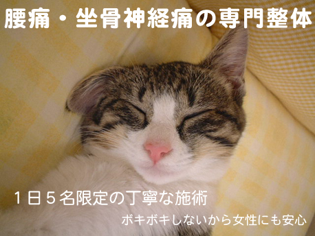 ���ɁE�����_�o�ɂ̐�吮��